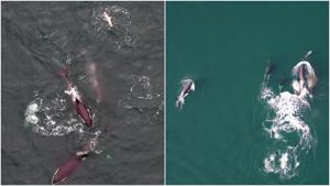 Relacionada fotojet-5.jpg