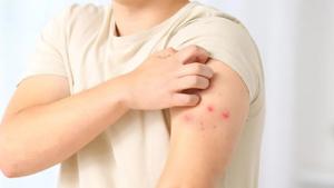 Relacionada screenshot-2026-01-21-194317-1.jpg