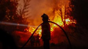 Relacionada screenshot-2026-01-21-203011-1.jpg