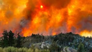 Relacionada incendios-chile-19012026-1768840722.jpg