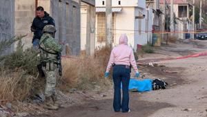 Relacionada principal_inshot_20260122_082327371.jpg