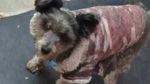 Relacionada fotojet-8.jpg