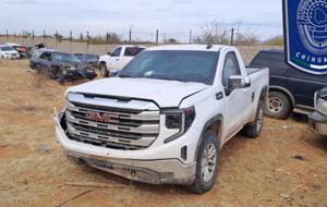 Relacionada img-20260122-wa0022.jpg