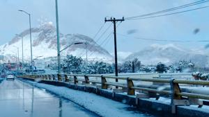 Relacionada 626d294b-3688-4303-803a-e287dd7cd3a4.jpg