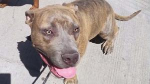 Relacionada fotojet-4.jpg