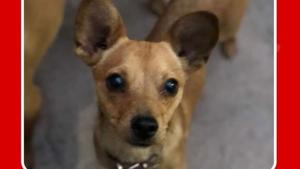 Relacionada whatsapp-image-2026-01-23-at-125037-pm.jpg