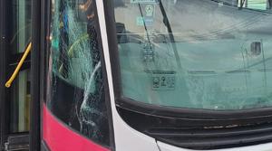 Relacionada whatsapp-image-2026-01-23-at-72603-pm.jpg