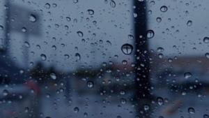 Relacionada whatsapp-image-2026-01-24-at-72031-am.jpg