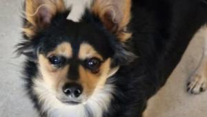 Relacionada fotojet-1.jpg