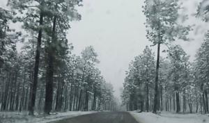 Relacionada whatsapp-image-2026-01-24-at-102148-am.jpg