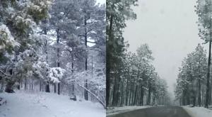 Relacionada nevadas.jpg