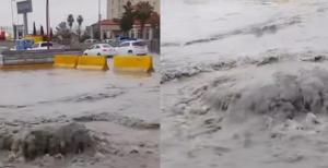 Relacionada img-20260124-wa0035.jpg