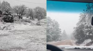 Relacionada ocampo-nevada.jpg