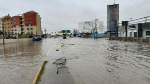 Relacionada whatsapp-image-2026-01-24-at-111012-am.jpg