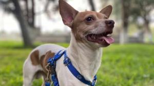 Relacionada fotojet-5.jpg