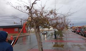 Relacionada whatsapp-image-2026-01-24-at-124807-pm.jpg