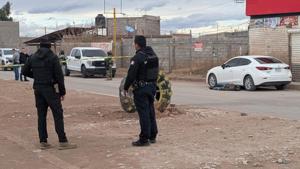 Relacionada img_9085.jpg