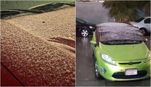 Relacionada nieve-en-juarez.jpg