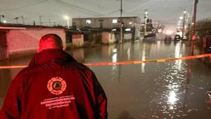 Relacionada e5dc8618-2316-409d-8ab5-b505858fe7df.jpg