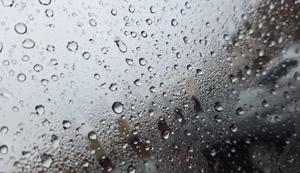 Relacionada b3bb5413-b63f-4c3d-aef5-cb4ef1dcd499.jpg