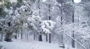 Relacionada nieve-sierra.jpg