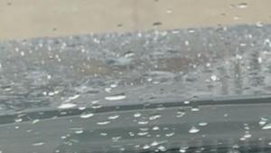 Relacionada whatsapp-image-2026-01-25-at-81016-am.jpg