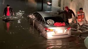 Relacionada florestadesanjose.jpg