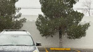 Relacionada whatsapp-image-2026-01-25-at-93636-am.jpg