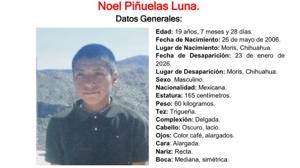 Relacionada pesquisa-noel.jpg