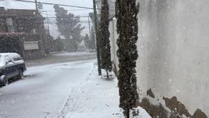 Relacionada whatsapp-image-2026-01-25-at-100129-am.jpg