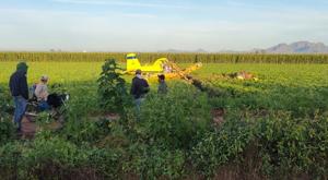 Relacionada avioneta.jpg