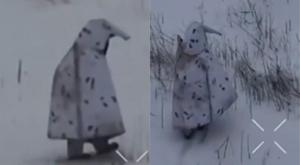 Relacionada download-16.jpg