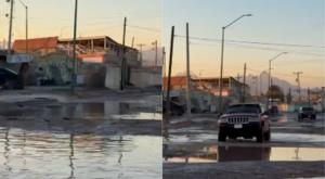 Relacionada download-19.jpg