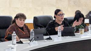 Relacionada cabildopreviac3e1339d-8c00-45bd-b0e9-0afef35f5f91.jpg