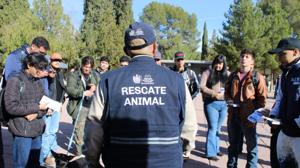 Relacionada zootecnia.jpg