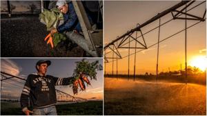 Relacionada pixlr_20260126161352796.jpg