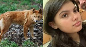 Relacionada piper-james.jpg