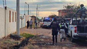 Relacionada screenshot-2026-01-26-174235-1.jpg