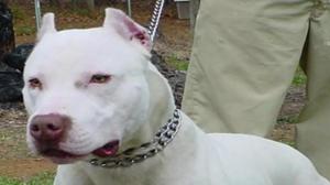 Relacionada fotojet.jpg