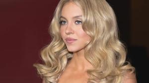 Relacionada screenshot-2026-01-26-201807-1.jpg