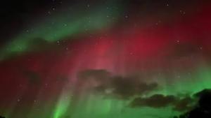 Relacionada image.jpg