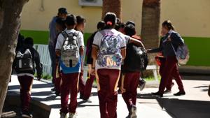 Relacionada whatsapp-image-2026-01-08-at-90154-amjpeg.jpg