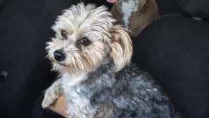 Relacionada fotojet-3.jpg