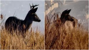 Relacionada fotojet-4.jpg