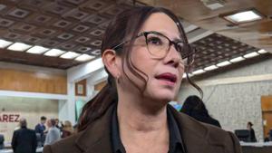 Relacionada de2adcde-7fb4-4525-b98d-d5eb25f1630d.jpg