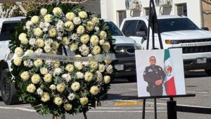 Relacionada inshot_20260128_140341600.jpg