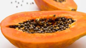 Relacionada screenshot-2026-01-28-194632-1.jpg