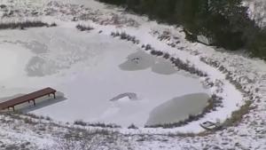 Relacionada whatsapp-image-2026-01-29-at-084609.jpg