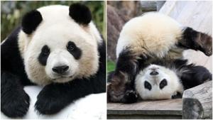 Relacionada fotojet-2.jpg