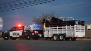 Relacionada 9c3b1e24-07ec-4c73-9b10-80ebed876831.jpg